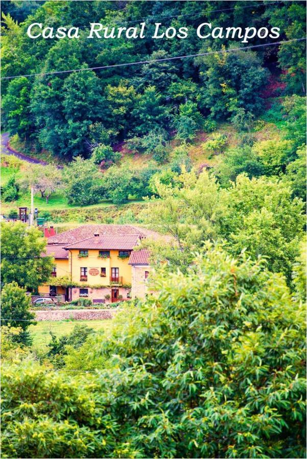 Corao Casa Rural Los Campos المظهر الخارجي الصورة