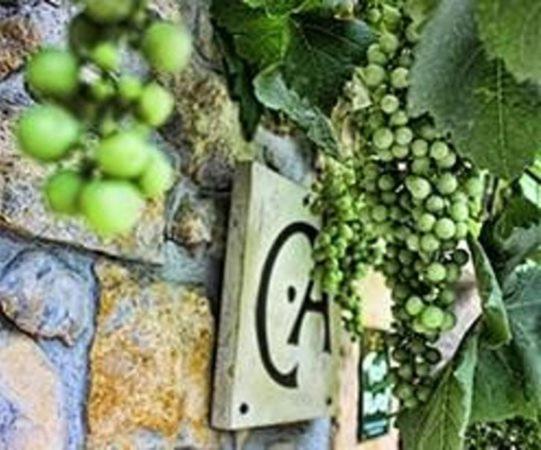 Corao Casa Rural Los Campos المظهر الخارجي الصورة