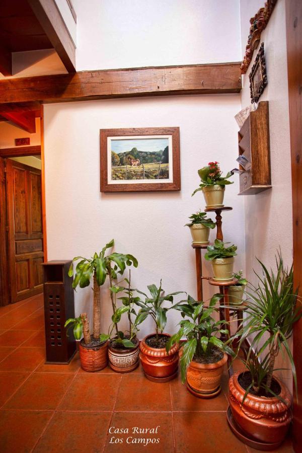 Corao Casa Rural Los Campos المظهر الخارجي الصورة