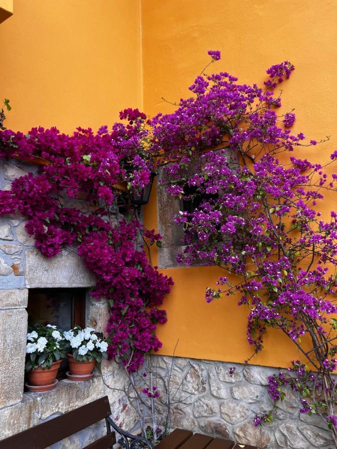 Corao Casa Rural Los Campos المظهر الخارجي الصورة